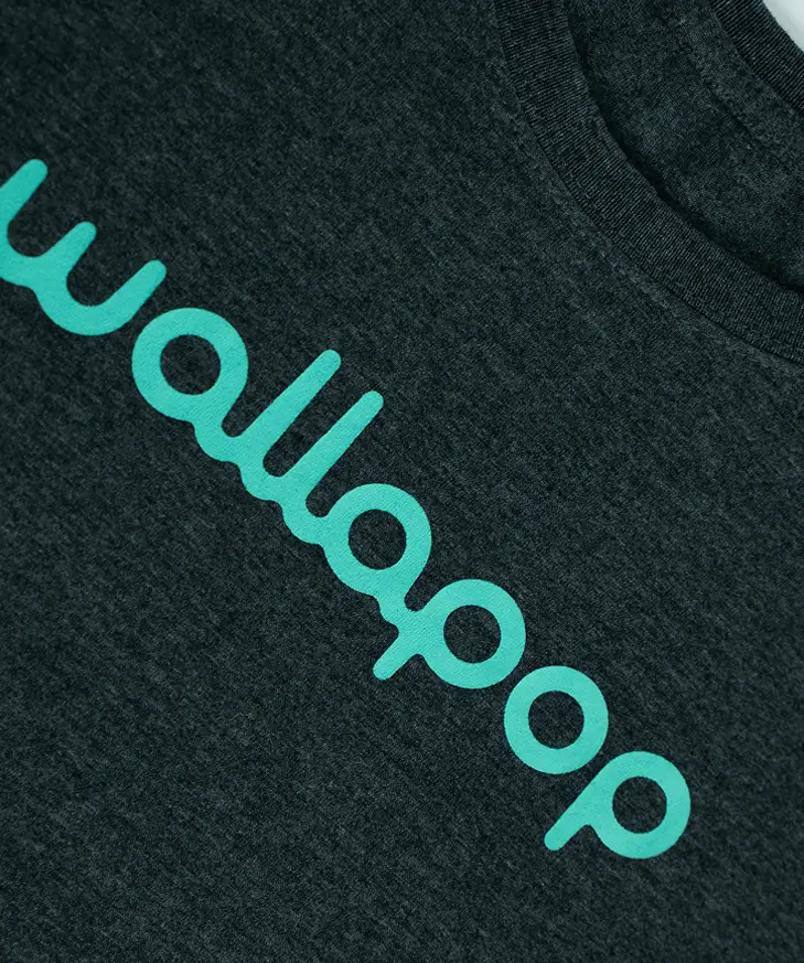 sudaderas y totebags express