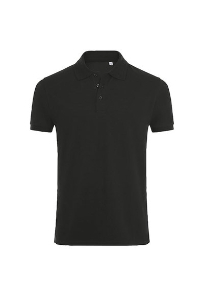 Resized polo phoenix 01708 1